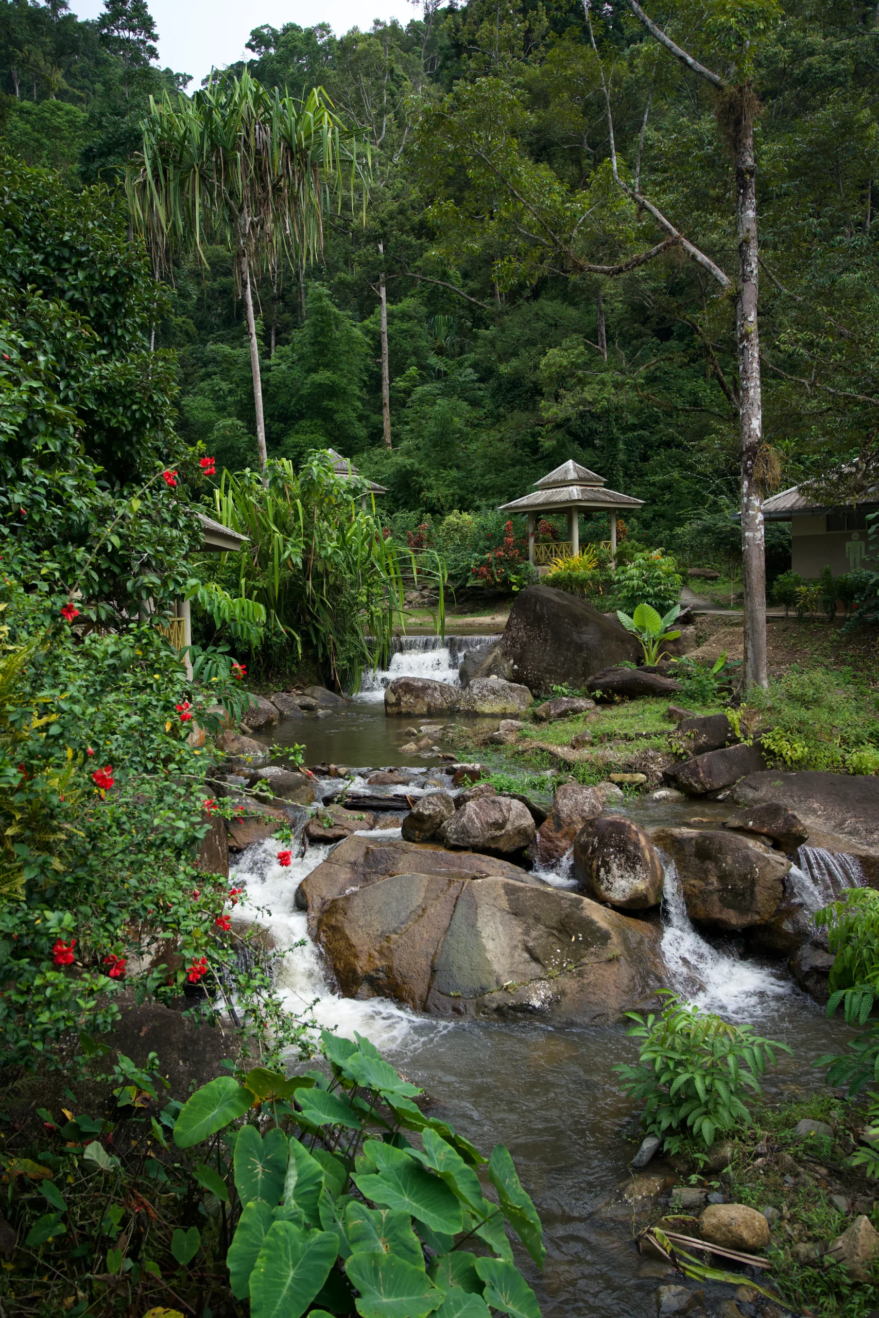 Jungle tropicale cascade rochers fleurs rouges pavillon bois, photographie nature Malaisie exotique apaisante