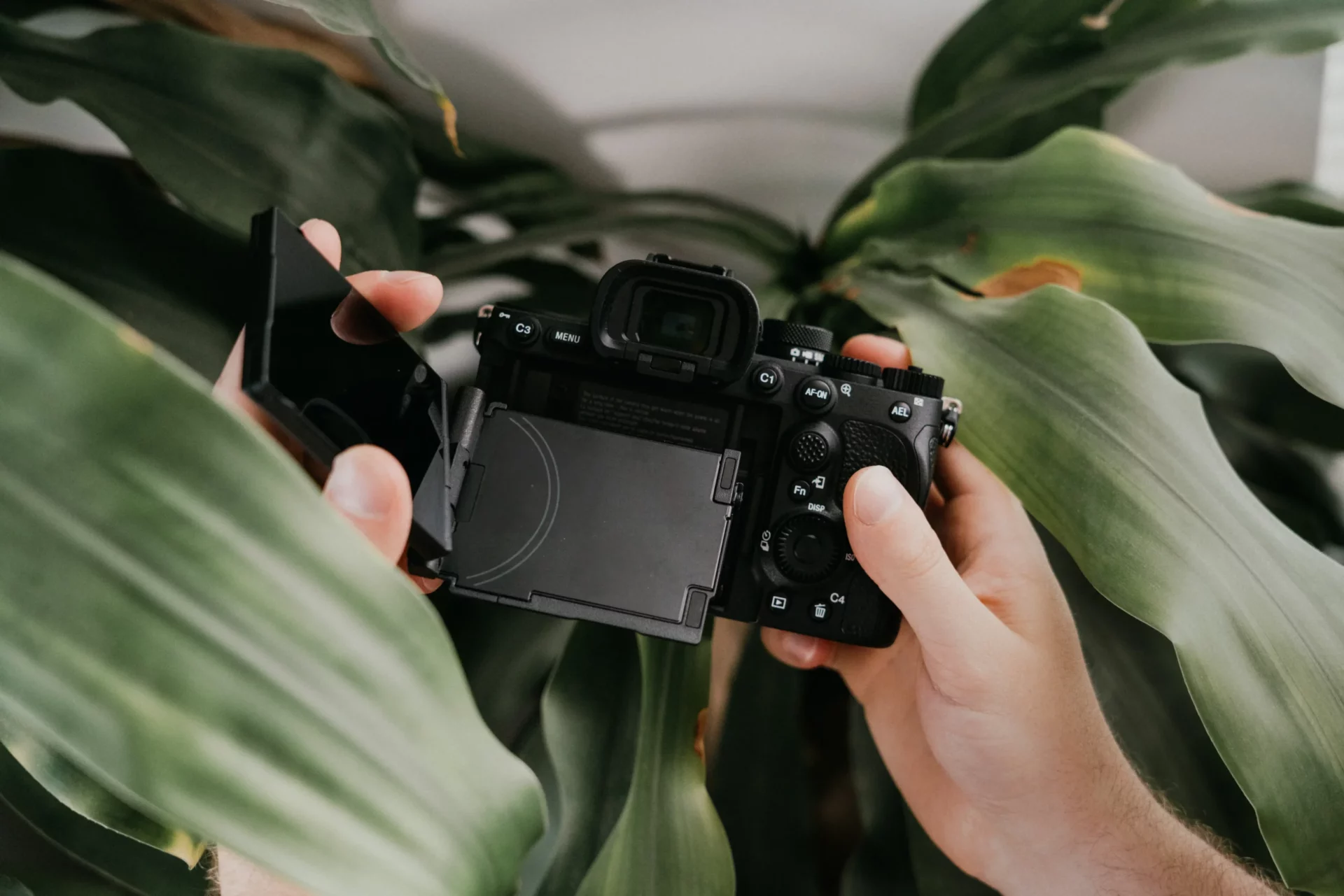 Appareil Sony avec écran orientable entouré de grandes feuilles vertes